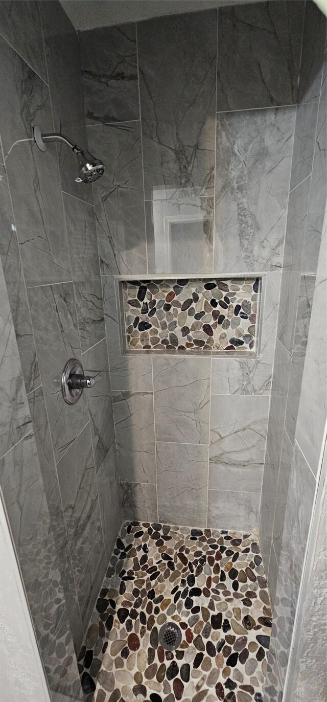 6404 Brentwood Dr, Fort Worth, TX 76112 - bathroom featuring tiled shower