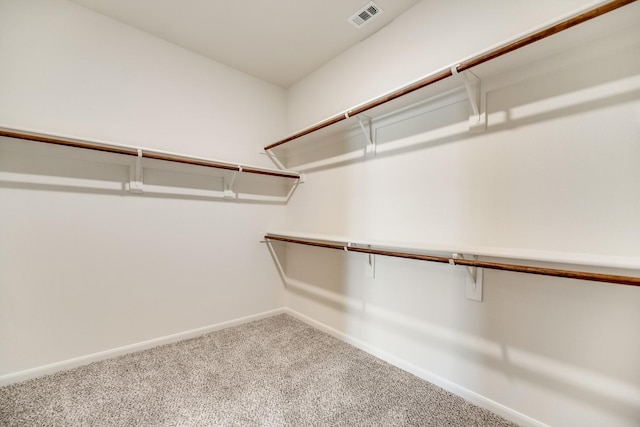 spacious closet featuring carpet flooring and visible vents