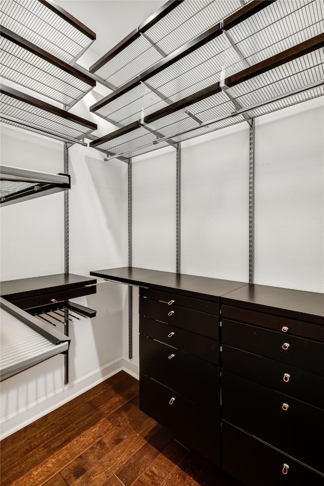 spacious closet featuring dark wood-style flooring