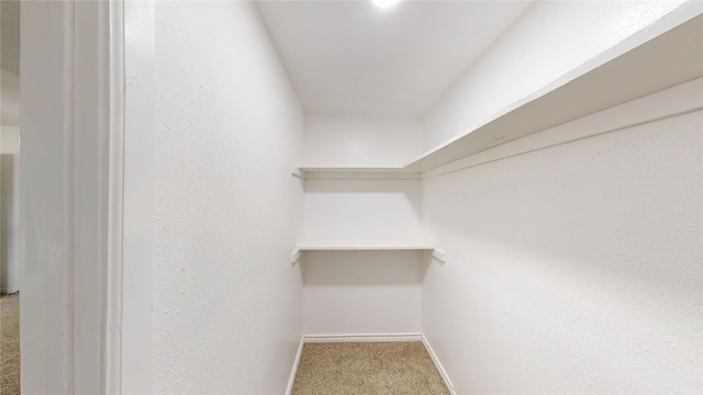 spacious closet featuring carpet floors