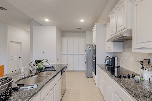 537 Val Verde St, Aubrey, TX 76227 - kitchen with visible vents, white cabinetry, under cabinet range hood, a sink, and appliances with stainless steel finishes