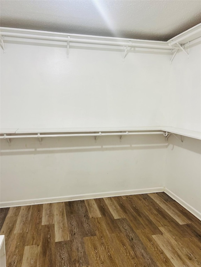 spacious closet featuring wood finished floors