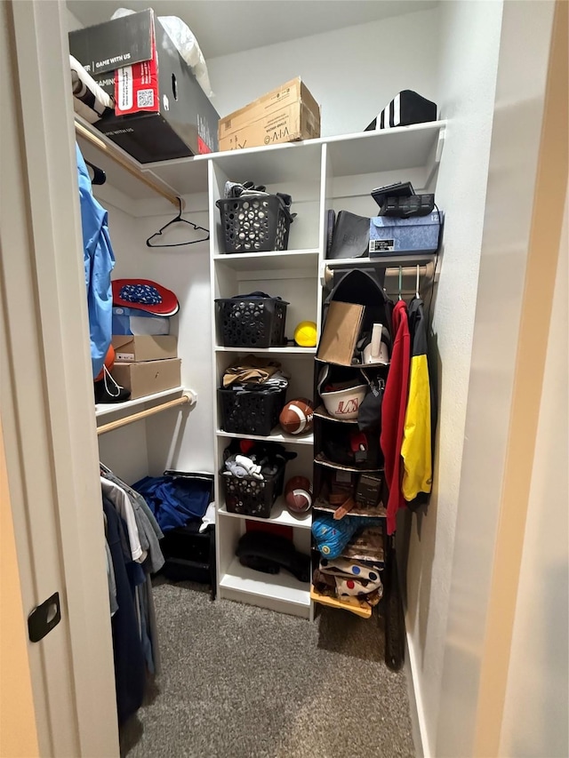 spacious closet with carpet floors