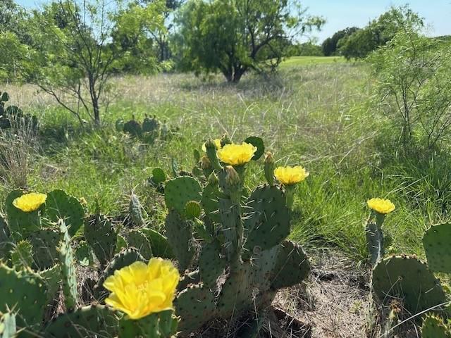 592 Breezy St, Brownwood, TX 76801