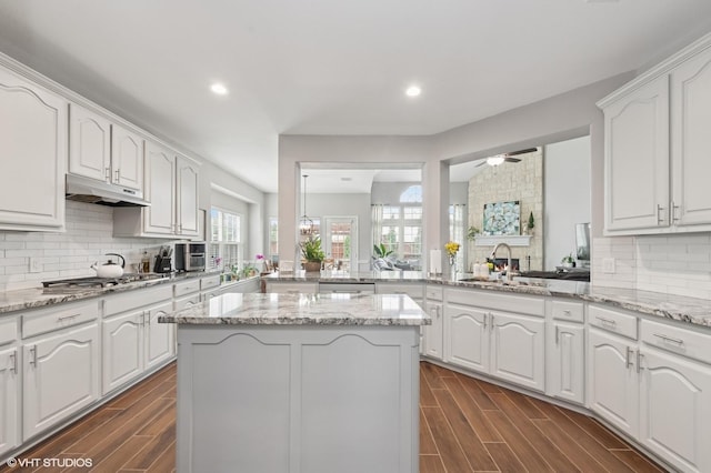 13283 Bodega Trl, Frisco, TX 75035 - kitchen with appliances with stainless steel finishes, tasteful backsplash, wood finish floors, a sink, and under cabinet range hood
