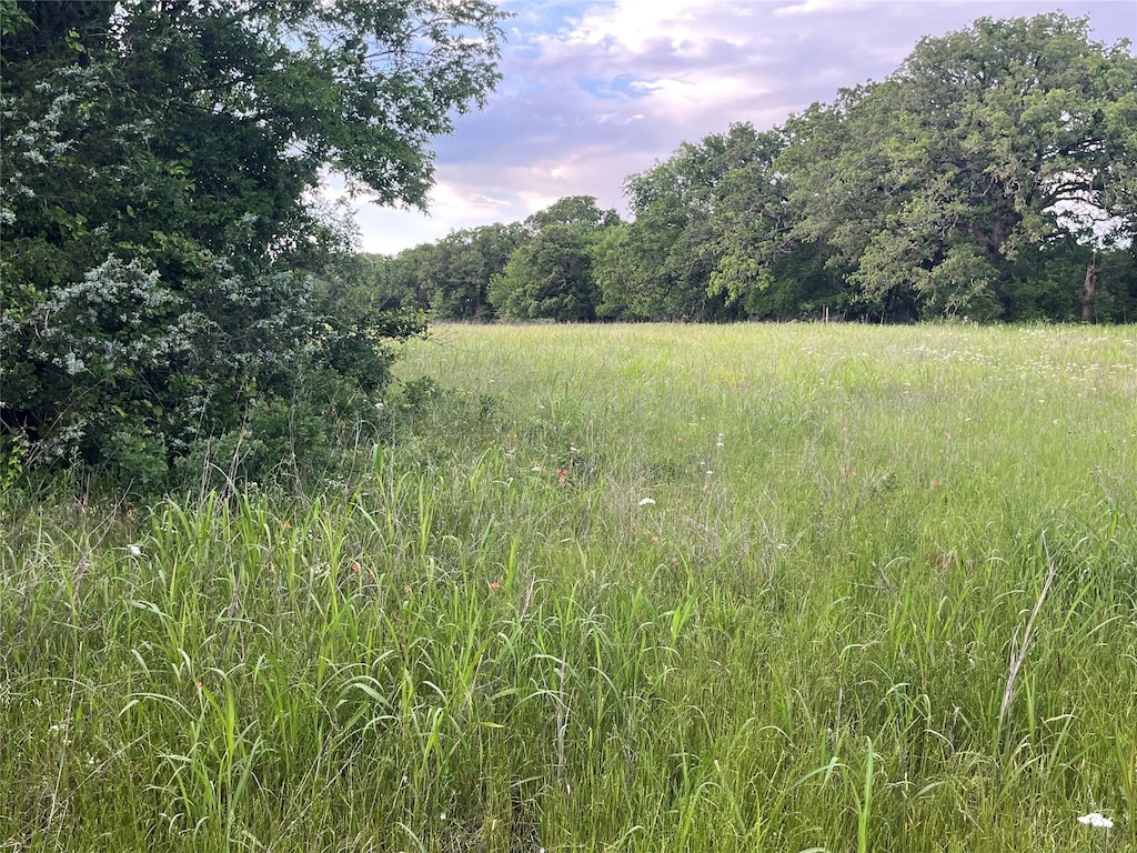 TRACT1 Fm 3043, Bowie, TX 76230