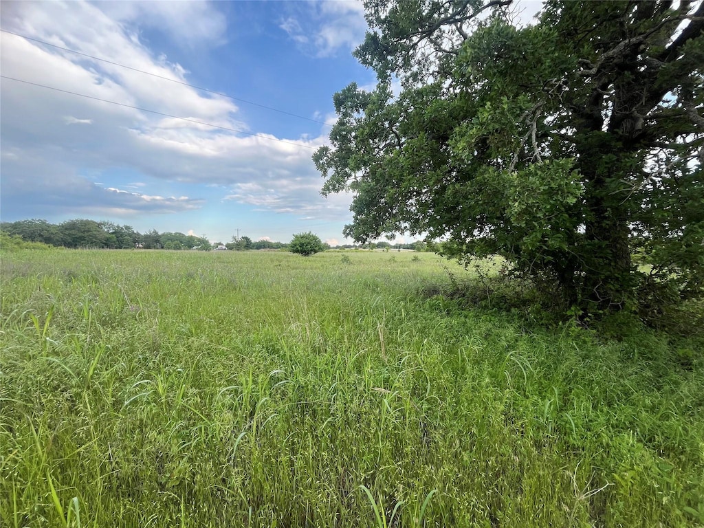 TRACT1 Fm 3043, Bowie, TX 76230