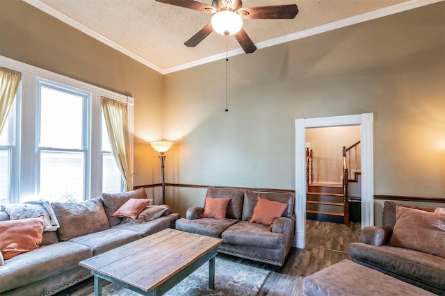 living area featuring ceiling fan, a textured ceiling, crown molding, wood finished floors, and stairway
