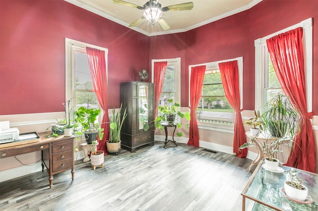 office area with ornamental molding, ceiling fan, and wood finished floors