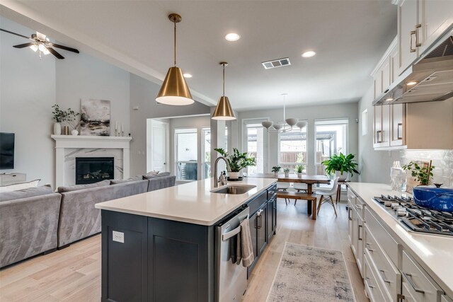 kitchen with visible vents, under cabinet range hood, a sink, light wood-style flooring, and appliances with stainless steel finishes