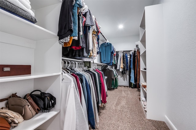 1349 Rolling Meadows Dr, Cedar Hill, TX 75104 - spacious closet featuring carpet flooring