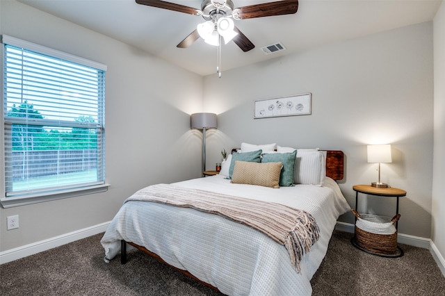 1349 Rolling Meadows Dr, Cedar Hill, TX 75104 - bedroom featuring baseboards, visible vents, and multiple windows