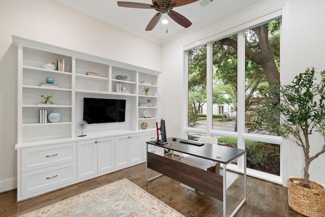 office featuring dark wood-style flooring, ornamental molding, and a ceiling fan