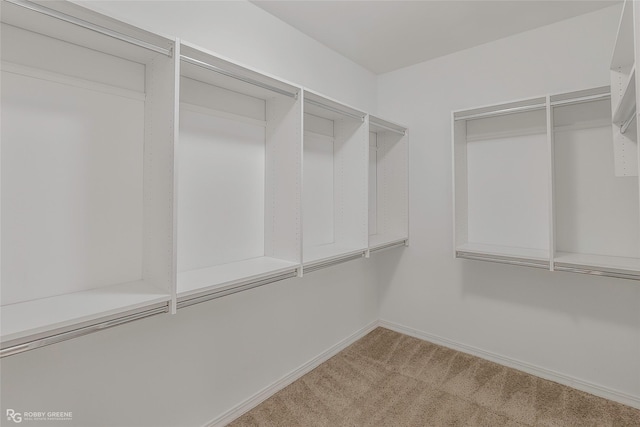 174 Hallette Dr, Shreveport, LA 71115 - spacious closet featuring light carpet