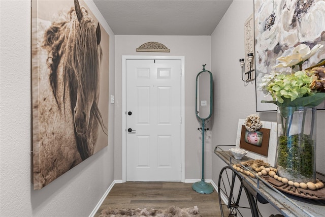 1105 Charles St, Weatherford, TX 76086 - entryway featuring dark wood-style flooring and baseboards