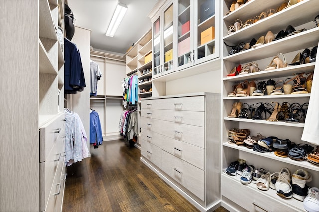 spacious closet featuring dark wood finished floors