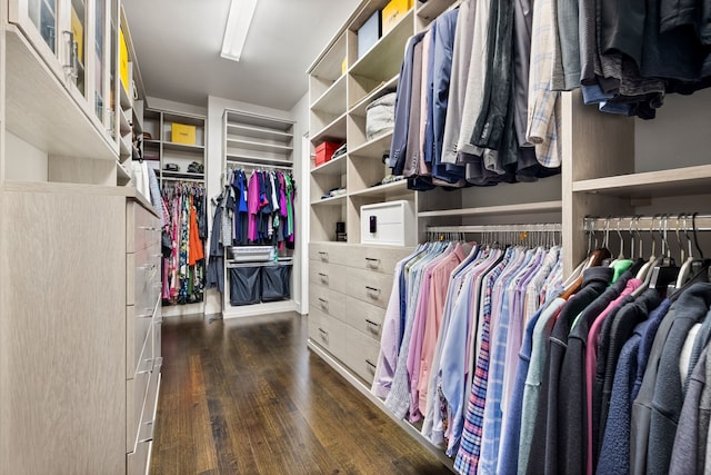 spacious closet with dark wood-style flooring