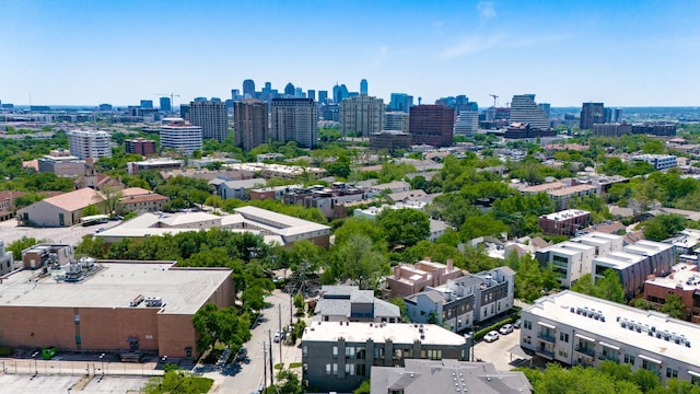 bird's eye view of a skyline view
