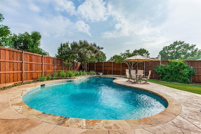 17607 Seedling Ct, Dallas, TX 75287 - view of swimming pool featuring a fenced backyard and a patio area