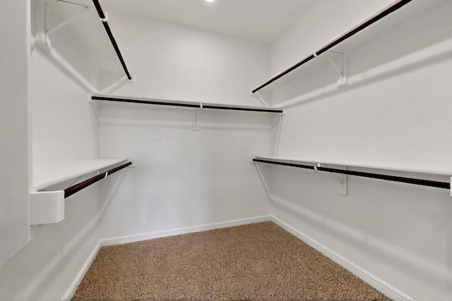 9133 Copper Crossing Dr, Fort Worth, TX 76131 - walk in closet featuring carpet