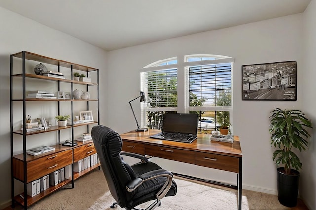 9133 Copper Crossing Dr, Fort Worth, TX 76131 - carpeted home office featuring baseboards
