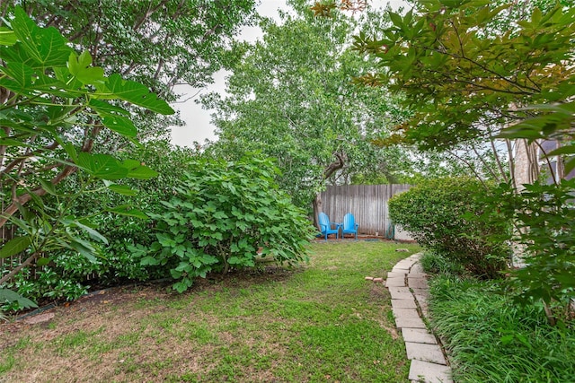 6712 Bluffview Dr, Fort Worth, TX 76132 - view of yard