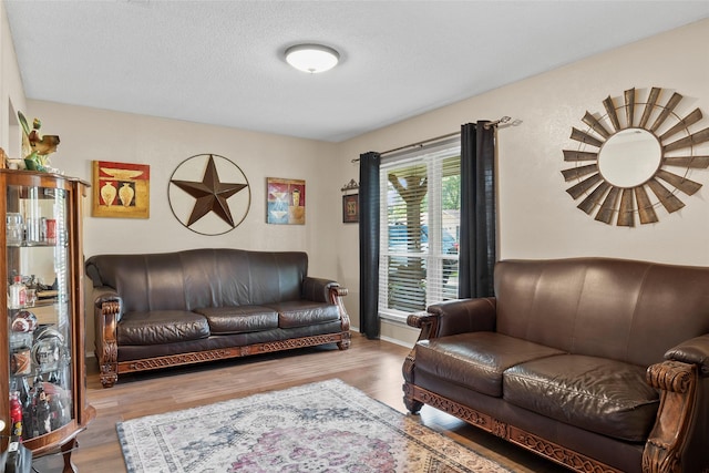 living room with a textured ceiling and wood finished floors