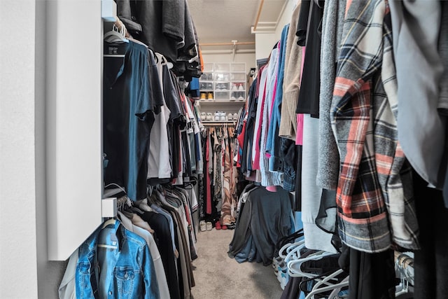 walk in closet with carpet floors