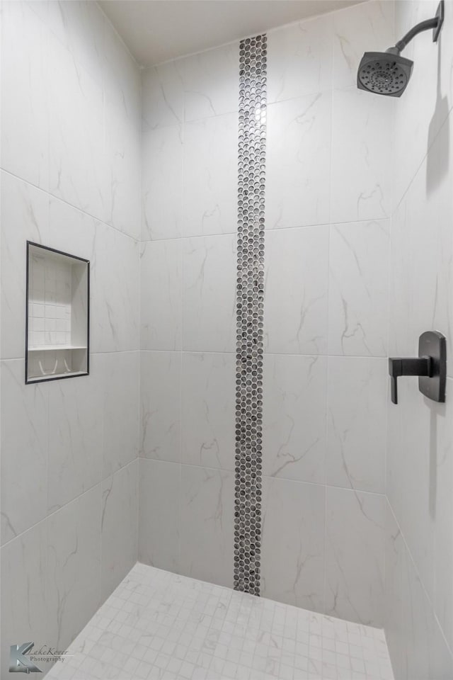 3342 Torrey Pne, Abilene, TX 79606 - bathroom with tiled shower