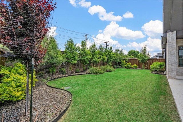 2472 Bainbridge Dr, Allen, TX 75013 - view of yard