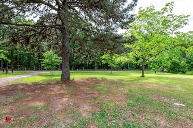 171 Columbia Road 84, Magnolia, AR 71753 - view of grassy yard
