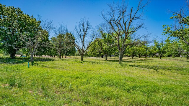 8433 W Landings Rd, Granbury, TX 76049