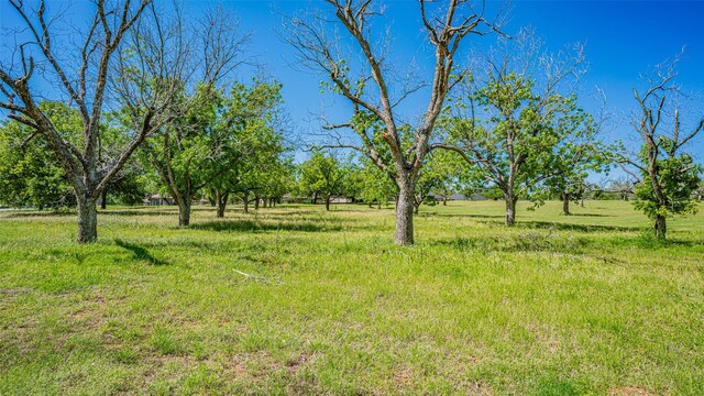 8433 W Landings Rd, Granbury, TX 76049