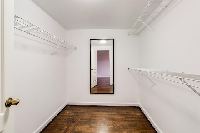 walk in closet featuring dark wood-type flooring