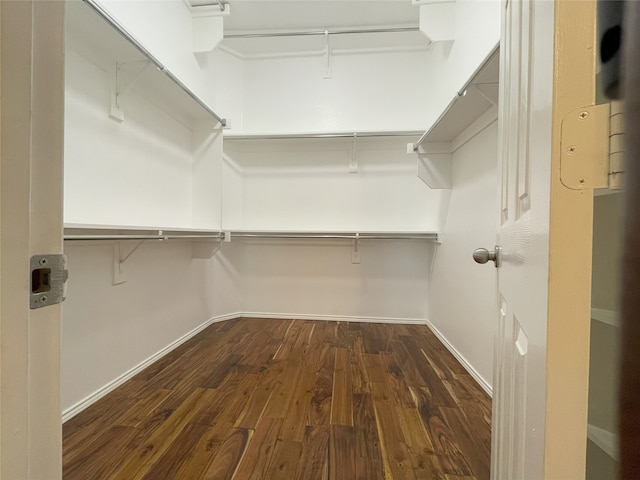 walk in closet with dark wood-style floors