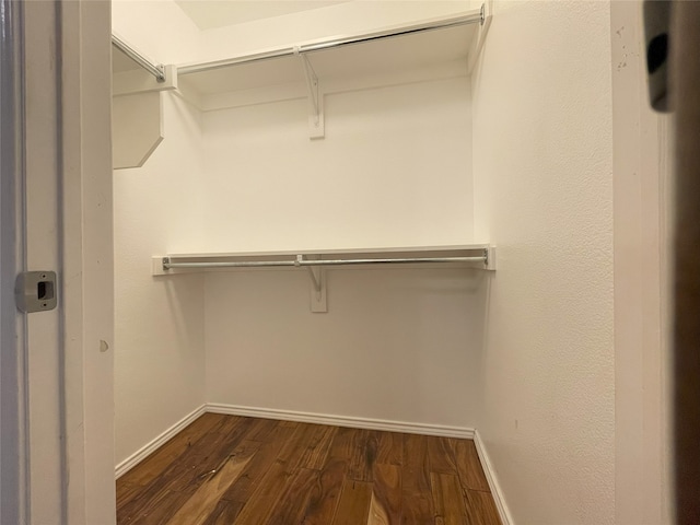 spacious closet with dark wood finished floors