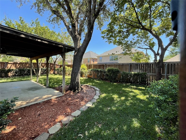 view of yard with a patio and a fenced backyard
