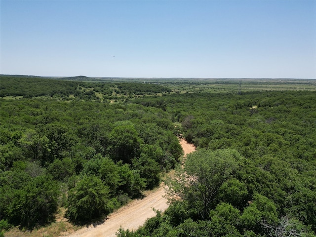 232ACRESTBD Nash Rd, Jacksboro, TX 76458