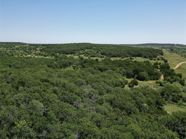 232ACRESTBD Nash Rd, Jacksboro, TX 76458