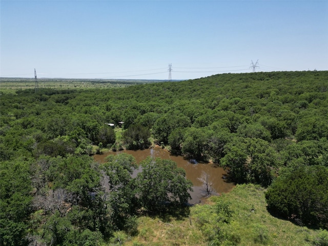 232ACRESTBD Nash Rd, Jacksboro, TX 76458