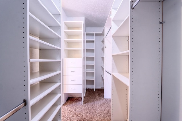 walk in closet with carpet flooring
