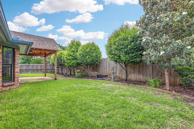 view of yard featuring a patio area