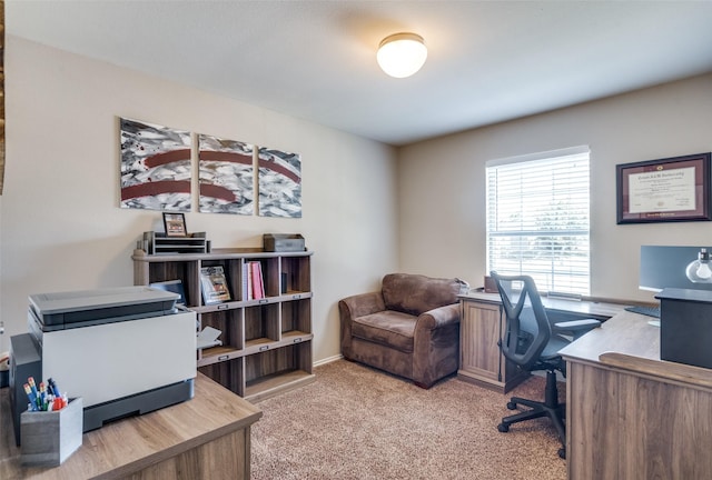 1330 Canyon Creek Rd, Wylie, TX 75098 - home office featuring light colored carpet and baseboards