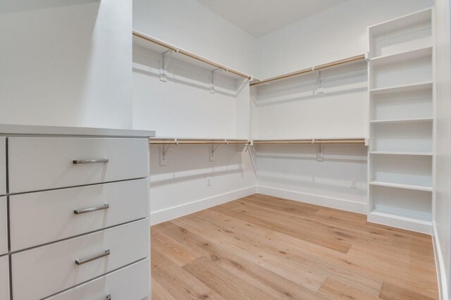 235 E Nash St Unit 118, Grapevine, TX 76051 - spacious closet with light wood-type flooring