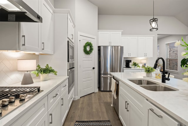 421 Hummingbird Dr, Celina, TX 75009 - kitchen featuring appliances with stainless steel finishes, a sink, extractor fan, white cabinets, and tasteful backsplash