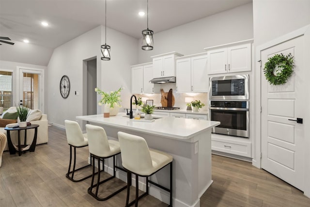 421 Hummingbird Dr, Celina, TX 75009 - kitchen featuring stainless steel appliances, a sink, lofted ceiling, under cabinet range hood, and backsplash