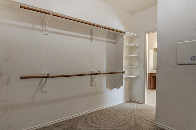 spacious closet featuring light colored carpet
