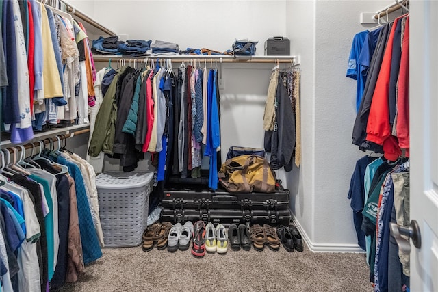 4037 Knightsbridge Ln, Midlothian, TX 76065 - walk in closet with carpet floors