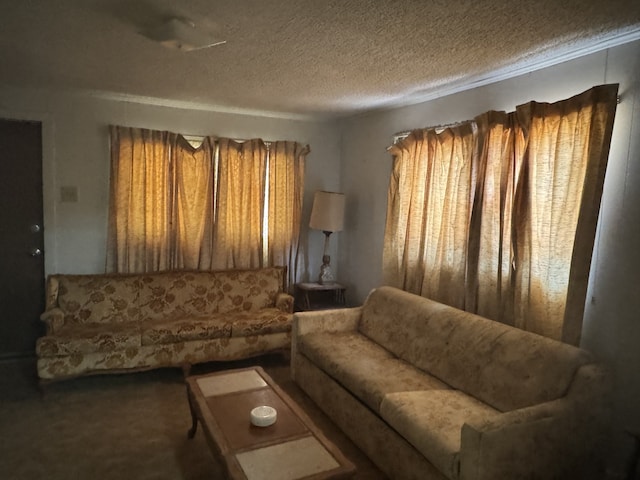 2466 Green St, Abilene, TX 79603 - living room featuring a textured ceiling and carpet flooring