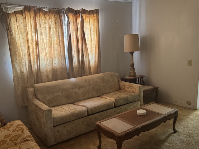 2466 Green St, Abilene, TX 79603 - living room with carpet flooring